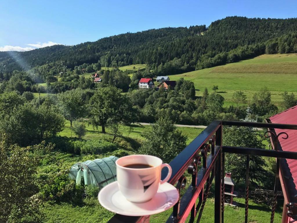 Malinowy Domek Mlynczyska Bagian luar foto