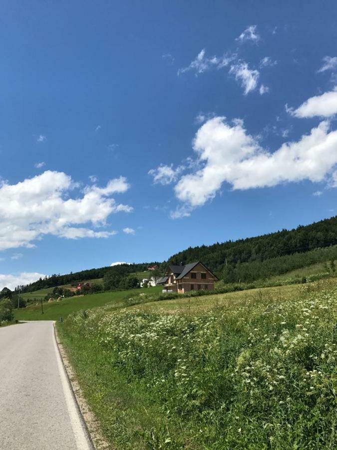 Malinowy Domek Mlynczyska Bagian luar foto