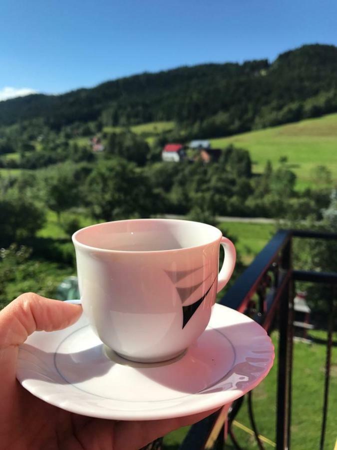 Malinowy Domek Mlynczyska Bagian luar foto