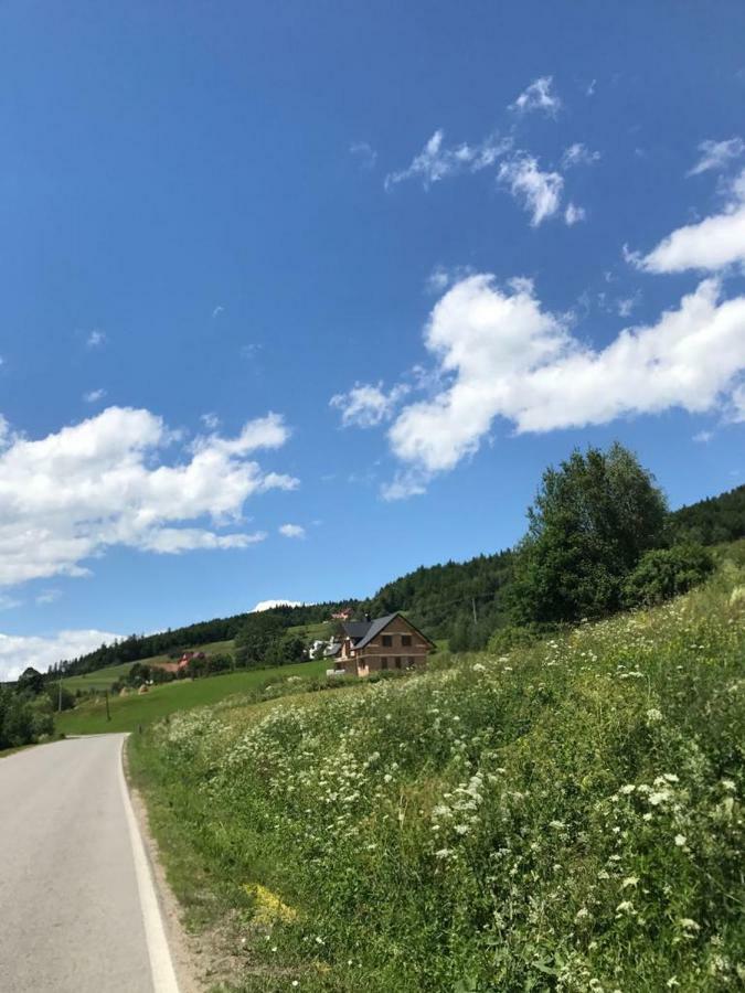 Malinowy Domek Mlynczyska Bagian luar foto