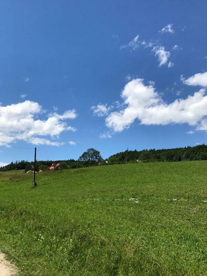Malinowy Domek Mlynczyska Bagian luar foto