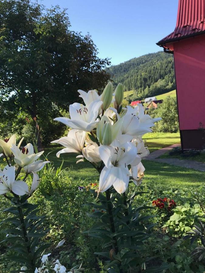 Malinowy Domek Mlynczyska Bagian luar foto