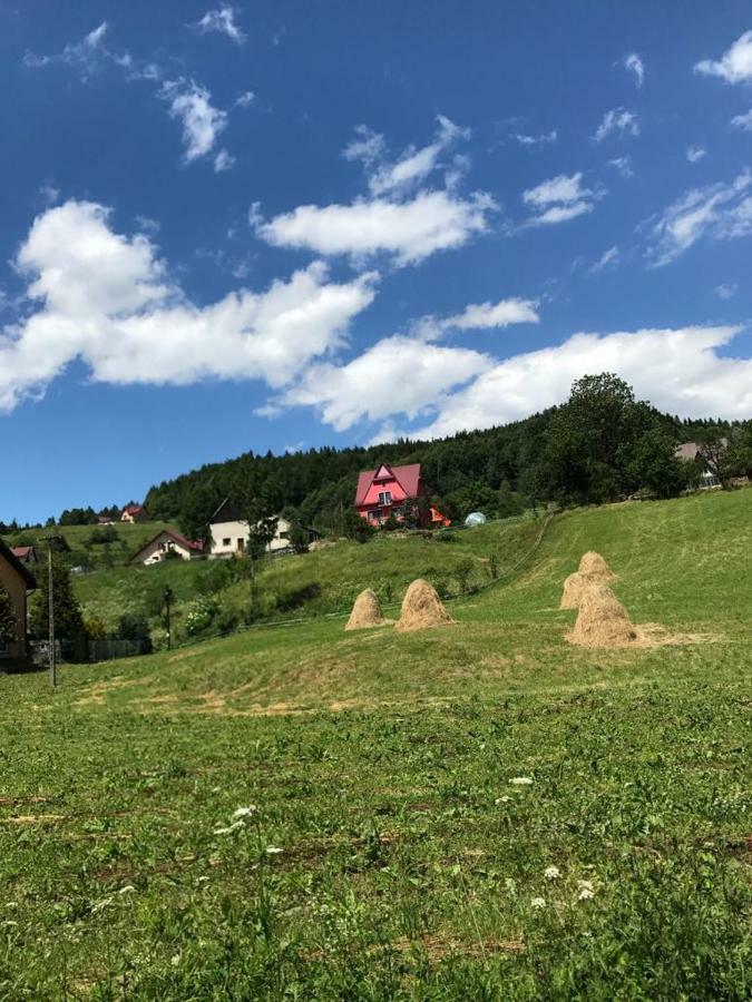 Malinowy Domek Mlynczyska Bagian luar foto